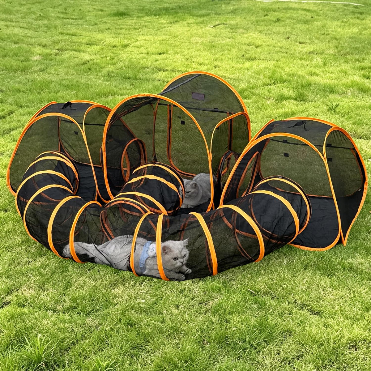 5-in-1 Outdoor Cat Enclosure, Pop-Up Catio with Tunnels